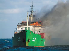 �Δn���R���e�i�D�΍Ђ̗l�q