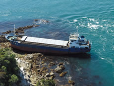 ���ɏ��g�����ݕ��D