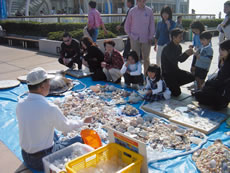 �C�m���ۑS���i���ɂ��[������