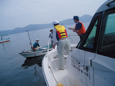 ���S�p�g���[�����ɂ����S�w���̗l�q