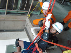 �P���̗l�q