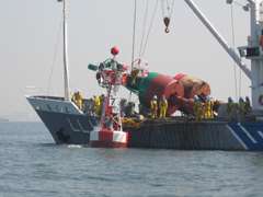 �����W�̌���