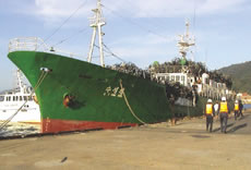 ���`���Ă���k���N�Ђ̉ݕ��D