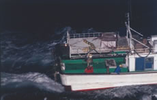 ������}�閧���D