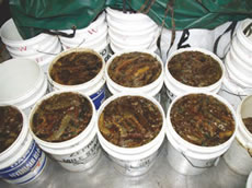 ���������i�}�R