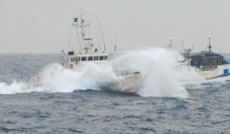 �؍����D��ߑ����������D