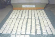 ���������o������