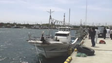 �����Ɏg�p�������^�V���D