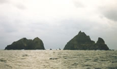 東島(女島、左)、西島(男島、右)