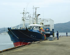 �؍����D�u15CHEON OWANG SEONG�v��