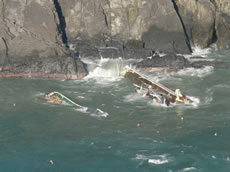 ���D�C��