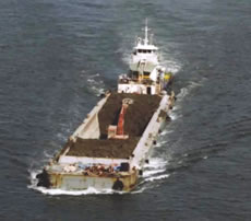 �y���^���D�u�攪�e�͊ہv