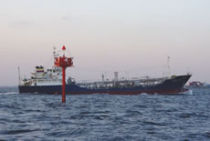 ��t�`��l�����W�i��t���j