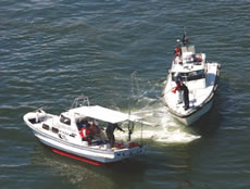 �C���֌W�@�ߎ����