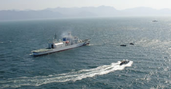 3�����i���{�A�^�C�A�}���[�V�A�j�A�g�P��