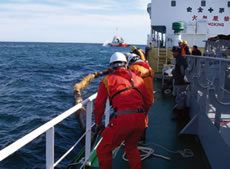 �@���h����