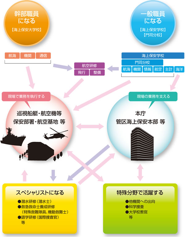 希望や能力に応じて選べる進路