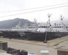 取締会議のために集結した対馬海上保安部の巡視艇