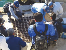 �{�����ɂ��؋����̊m�F���