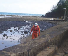 ���݂̕Y��������