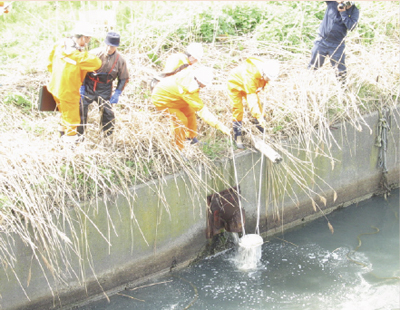 関係者を立ち会わせ排出水を採取する海上保安官