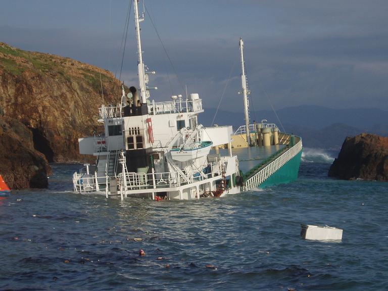 �ЊQ�ɔ�����