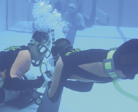 �������C 