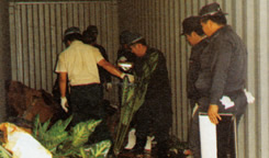 �W�c���q�̃R���e�i