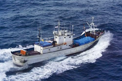 ���D�u����a�ہv�ɋU�������s�R�D