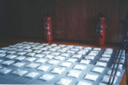 �z���W�����X�Љݕ��D�o�����܁i��101kg�j���A������