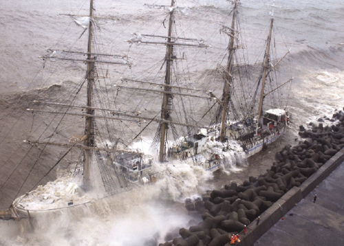 ���ʂ���g���󂯂�u�C���ہv 