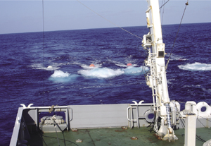 �G�A�K���ɂ��n�k�\���T��