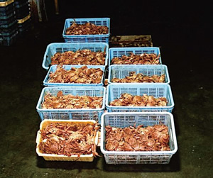 �������l���i�т��Ɂj