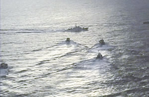 ��t�����̗L���咣�����ɑ΂���̊C�x��