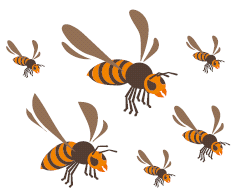 �X�Y���I�C���X�g