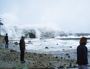 �r�ꋶ�����{�C