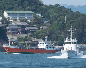 �q�H���傤�����̏�����