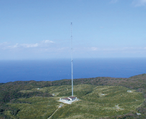 ������C��