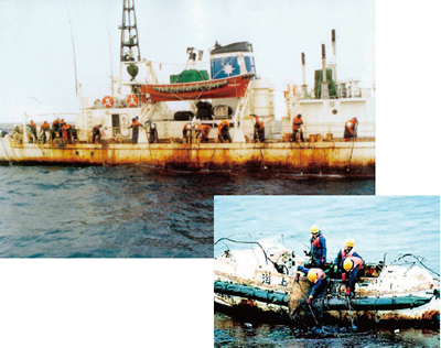 �i�z�g�J���C��̏����D�̏d��������