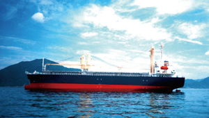 �uALONDRA RAINBOW�v������