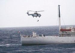 ���{�БD�ֈڏ悷��C��ۈ����i11��17���j