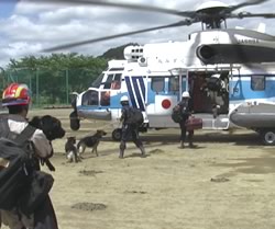 �~�������A�v���̗A��