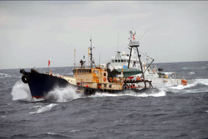 領有権主張活動家の船舶