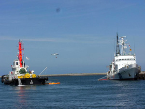 ���o���h���P���̗l�q