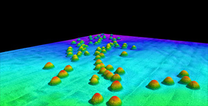 ����C�Ɍ�����C�u�Q�i��������5�{�����j