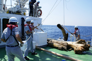 �����D�u���񂾂��v�ɂ�闬�؉��