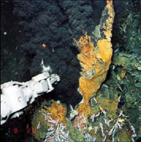 �C��M���z���@���A���A�����A���A�ⓙ�̃��A���^�������a�B