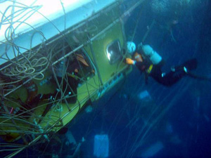 �D���̑{���~��