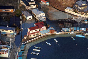 �Ôg�ɂ�鉈�ݕ��̐Z��(3)