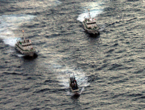 ��p�����Ƃ̏�D�������D�u�����i�J���G���j99���v